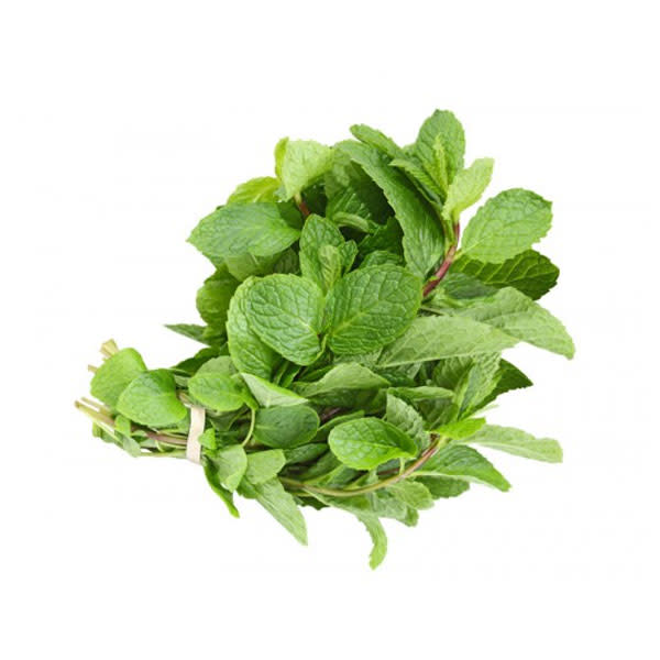 Mint Round - Bunch_image_Pro Bros_order now
