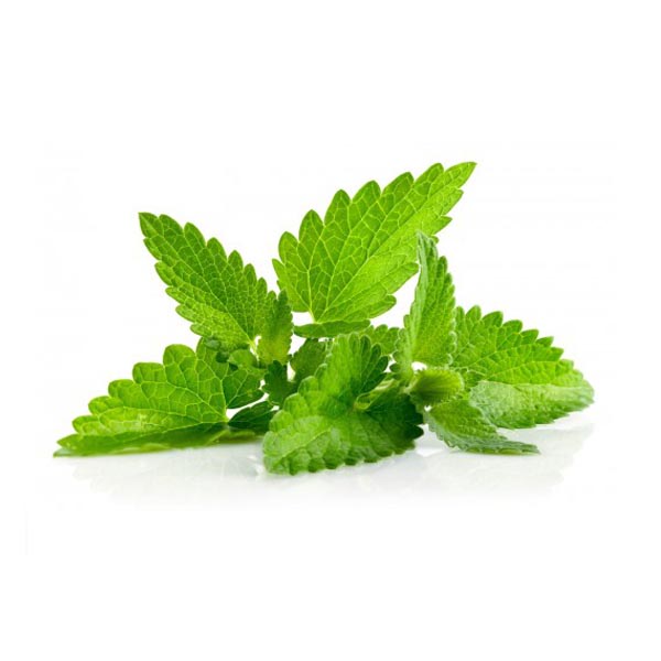 Herb, Mint Long/Spear(bunch)_image_Pro Bros_order now