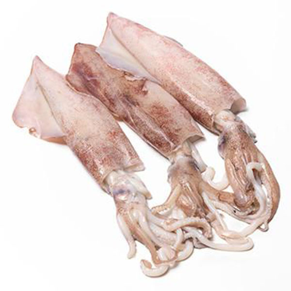 Squid Whole Loligo 8-10 Inch IQF 1kg (10)