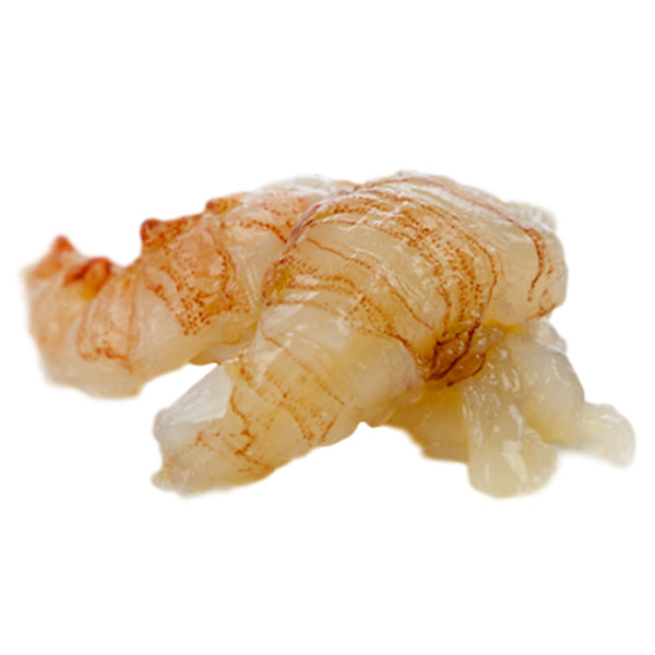 Bug Meat Import Frz (kg) (~1kg)_image_Ocean Made Seafood_order now