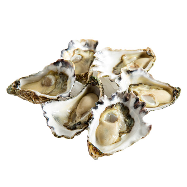Oysters OPENED Sydney Rock (Doz)