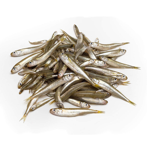 White Bait Local (1kg) (~1kg)_image_SEA Kings_order now