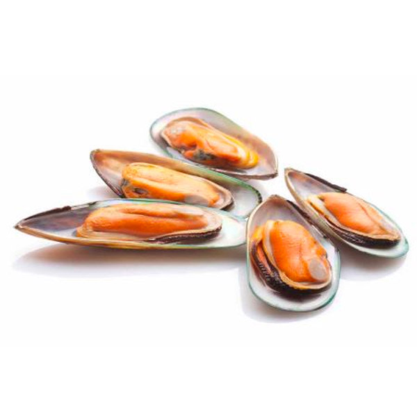 Frozen - Mussels 1/2 Shell New Zealand (1kg) (~1kg)_image_SEA Kings_order now
