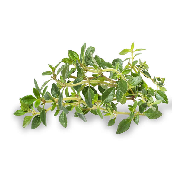 Thyme - Lemon Bunch_image_Melbourne Produce Merchants_order now