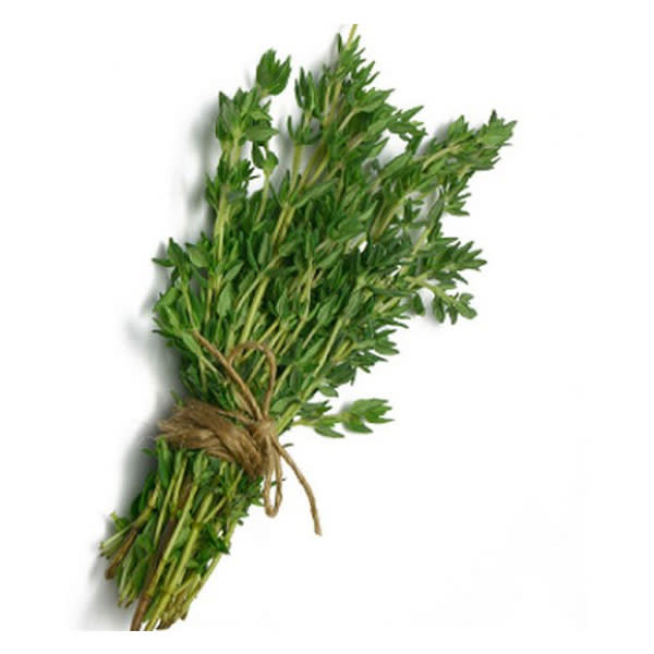 Thyme - Bunch_image_Melbourne Produce Merchants_order now