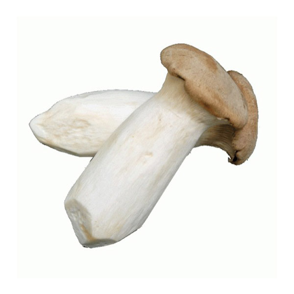 Mushrooms - King Brown Baby (300g/pnt)_image_Melbourne Produce Merchants_order now