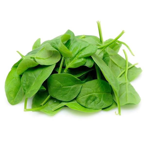 Baby Spinach (1.5kg) (~1Box)_image_Melba Fresh_order now