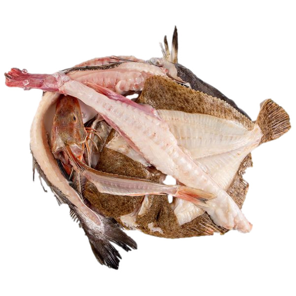Fish Bones (~1.5kg)_image_M & G Seafood Wholesalers_order now