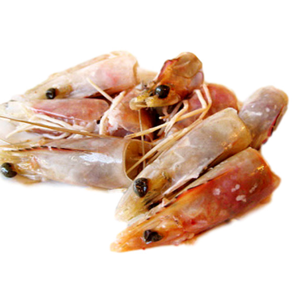 Prawn Heads (~3kg)_image_M & G Seafood Wholesalers_order now