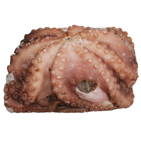 Octopus Iqf Imported 16/25 Frozen (~1kg)_image_M & G Seafood Wholesalers_order now
