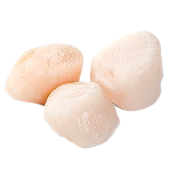 Scallop Meat Canadian Clearwater Roe Off 20/30 (~1kg)_image_M & G Seafood Wholesalers_order now