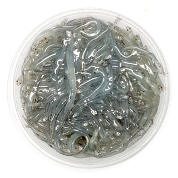 White Bait Western Australia Local Frozen (~1kg)_image_M & G Seafood Wholesalers_order now
