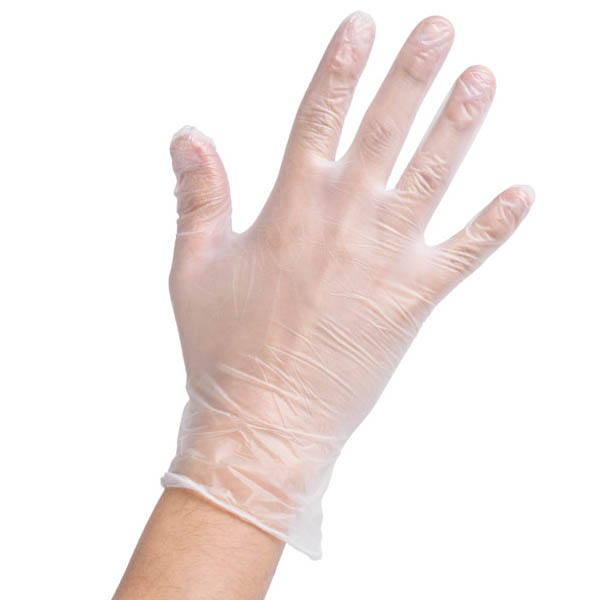 Vinyl Gloves, Powder Free Clear - Large (pkt/100)_image_WholesalePak_order now