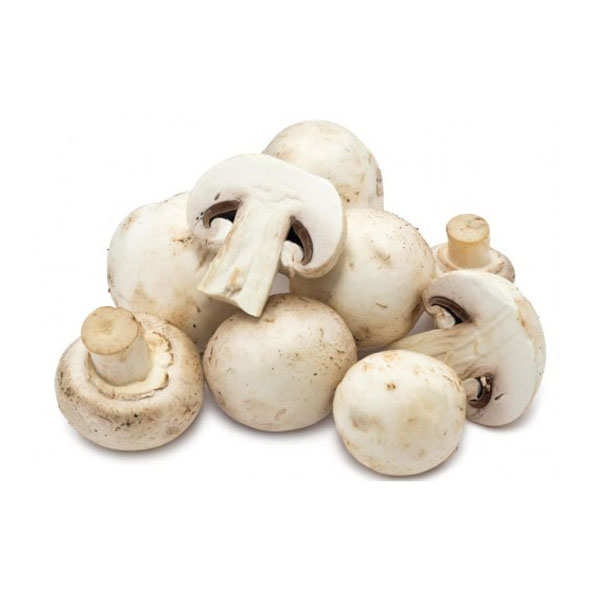 Mushroom No.#2 / 4kg Box
