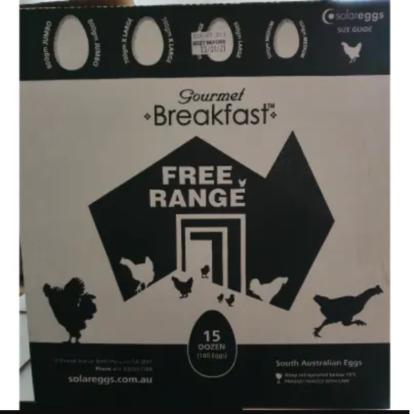 Eggs 700 (X-large) Free Range Catering pack 180 - Gourmet Breakfast_image_Forest Food Co_order now
