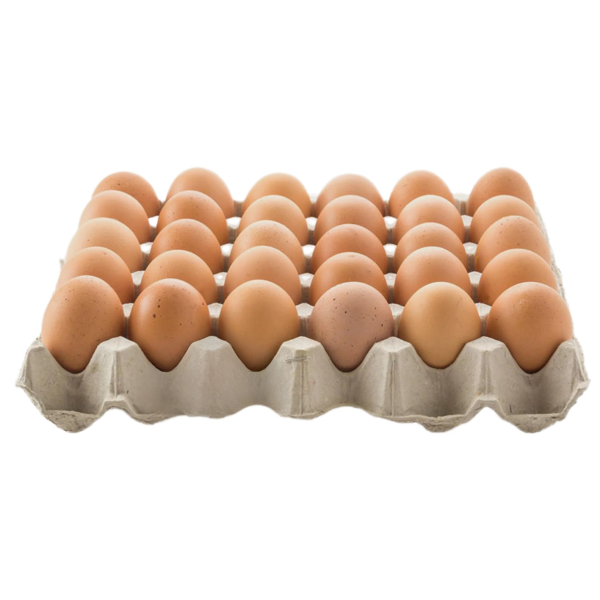 Pasture Raised Eggs 700g Catering Trays_image_Bega Valley Eggs_order now