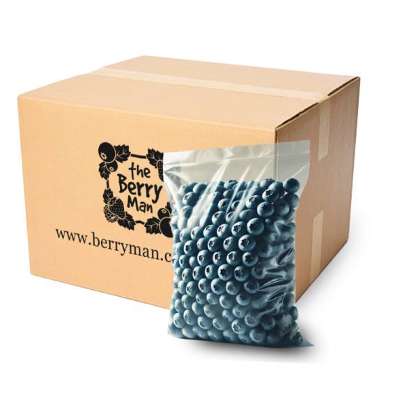 BLUEBERRIES IQF 10x1kg