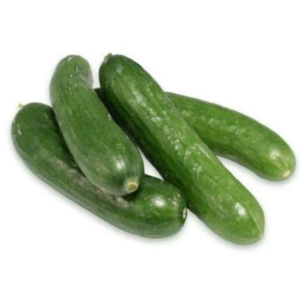 Cucumber Lebanese - kg (~1kg)_image_J&D Providore_order now