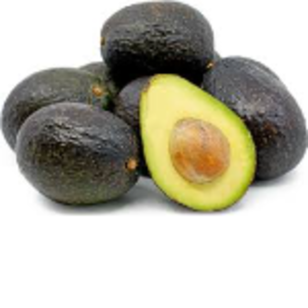 AVOCADOES - TRAY   (16 - 23)