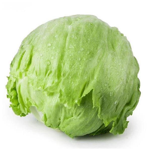 Iceberg Lettuce - Each