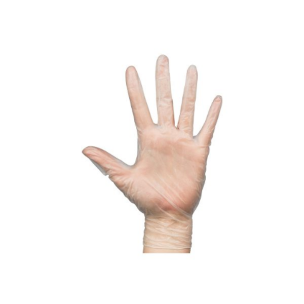 Glove Vinyl Powder Free 100/Pk Large_image_Nepean Hospitality_order now