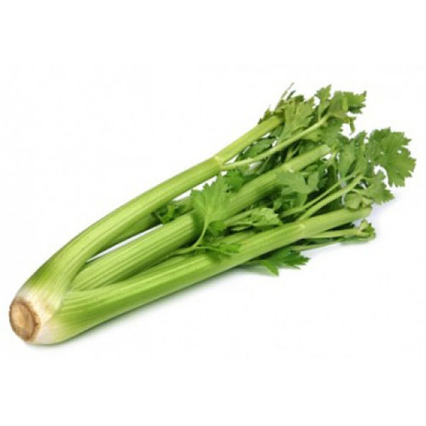 Celery - Each (~1Bunch)_image_Fruitique Wholesale_order now