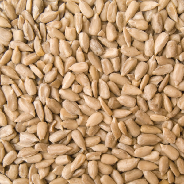 Australian Sunflower Seeds 12.5KG_image_Honest to Goodness_order now
