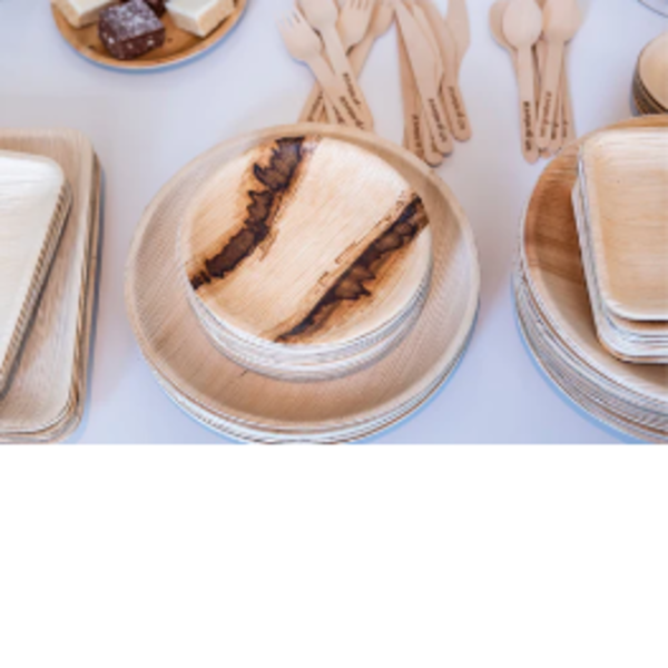 6" Small Round Plate- 10pack_image_Goodly Gosh_order now
