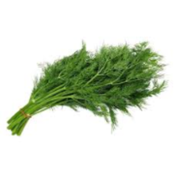 Dill (Bunch)