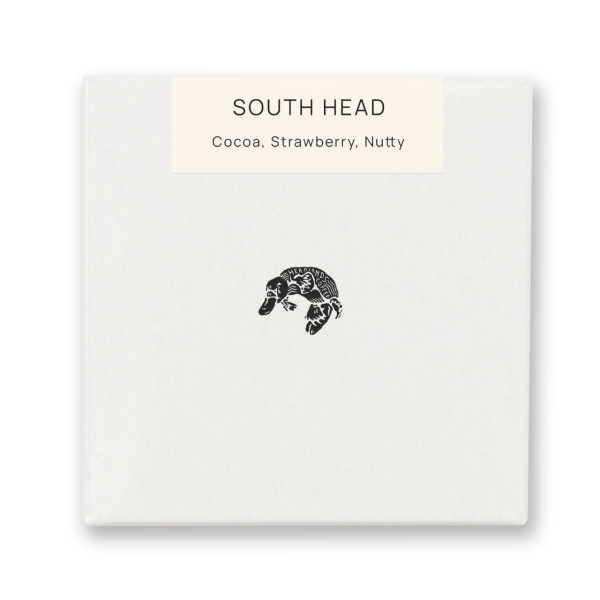 South Head | Milk Blend