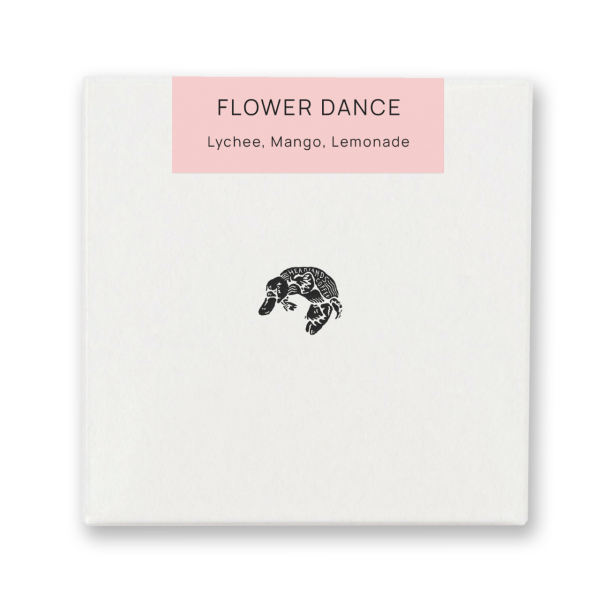 Flower Dance | Special Blend 