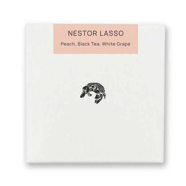 Colombia Nestor Lasso Anaerobic Washed