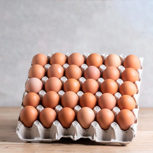 EGGS CAGED 700G TRAYS (180) PACE FARMS_image_Sydney Wide Food and Dairy_order now