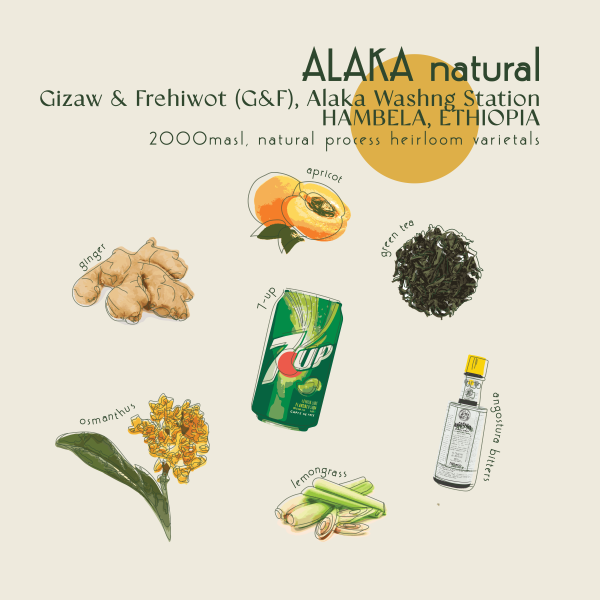 250g - Ethiopia - Alaka_image_Core Roasters_order now
