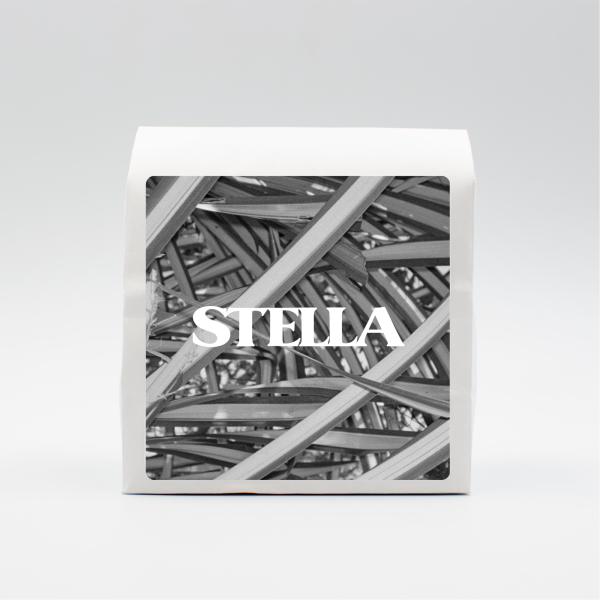 Bekele Gemeda – Ethiopia_image_Stella Coffee_order now