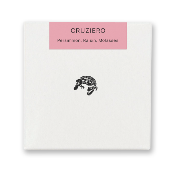 Brazil Cruzeiro Yellow Catuai PB Anaerobic Natural _image_Headlands Coffee_order now