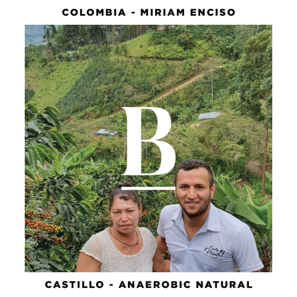 Single Origin Filter 250g - Miriam Enciso - Columbia_image_Blackboard Coffee Roasters_order now