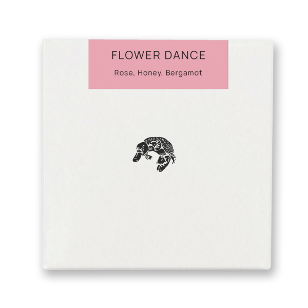 Flower Dance | Special Blend _image_Headlands Coffee_order now