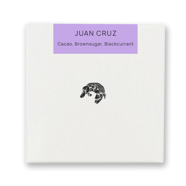 Peru Juan Cruz Typica Washed_image_Headlands Coffee_order now