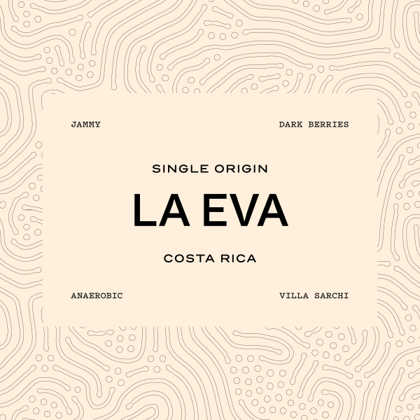 LA EVA | COSTA RICA | 1KG_image_Loggerhead Coffee Co_order now