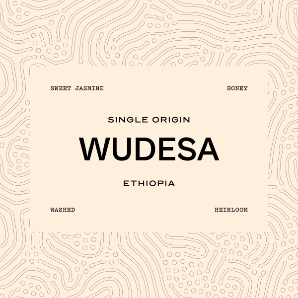 WUDESA | ETHIOPIA | 1kg_image_Loggerhead Coffee Co_order now