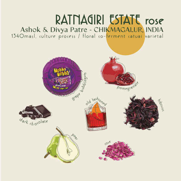 250g - India - Ratnagiri Estate Rose_image_Core Roasters_order now