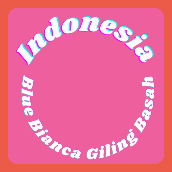 250g Indonesia Blue Bianca Giling Basah_image_ickle coffee_order now