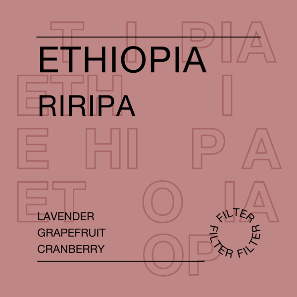 Ethiopia Riripa Filter 250g_image_Reuben Hills_order now