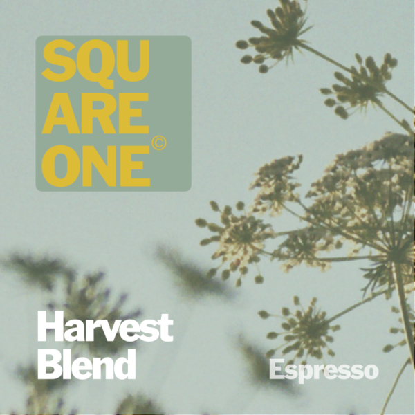 Harvest Blend_image_Square One Coffee_order now