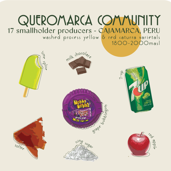250g - Peru - Queromarca Comunity_image_Core Roasters_order now