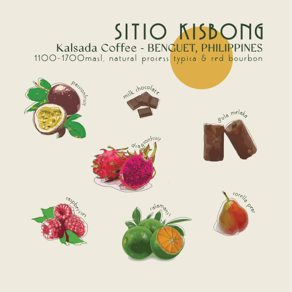 250g - philippines - Sitio Kisbong_image_Core Roasters_order now