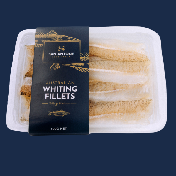 300g Tray - Plain Single Whiting Fillet 13-16cm (7.5kg carton)_image_San Antone Food Group_order now