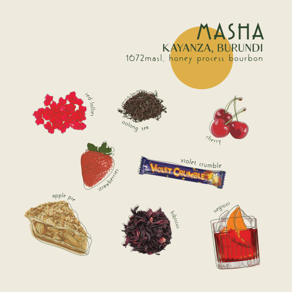 250g - Burundi - Masha Honey_image_Core Roasters_order now