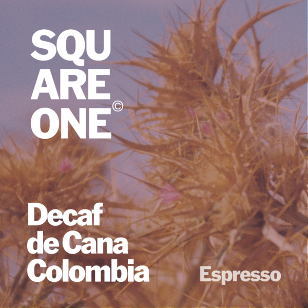 Decaf de Cana, Colombia_image_Square One Coffee_order now
